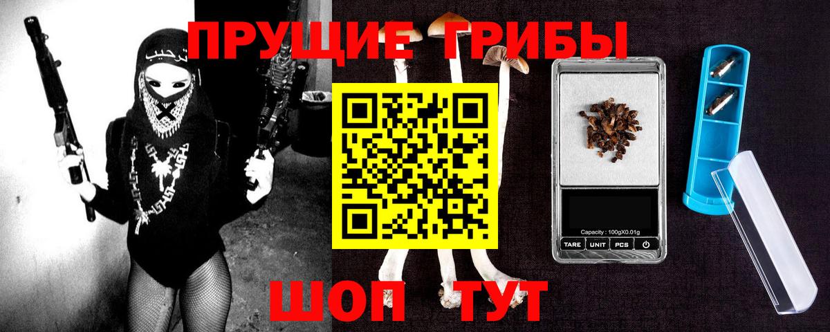 Псилоцибиновые грибы Cubensis  Галлюциногенные грибы прущие грибы  Арзамас  Вход с VPN 